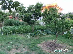 House in Bar - real estate in Montenegro for sale AS01785_4.JPG