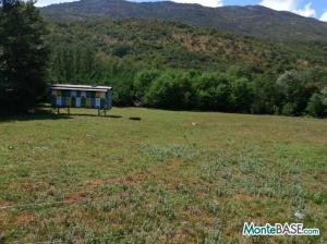 Продажа земельного участка в Даниловграде  NA01573_1.jpg