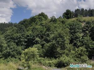 Land plot for tourism investment project MB054157_KG11_1.jpg