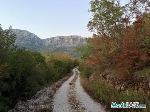 Большой земельный участок с видом на море в Зупци, Бар PR01575_5.JPG