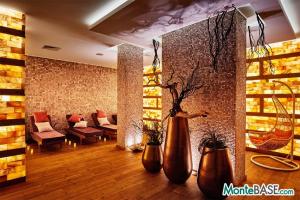 Luxury apartments from the developer MonteDreams Becici AS01559_5.jpg