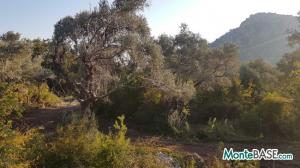 Plot in Sutomore for construction in Montenegro AS01673_5.jpg